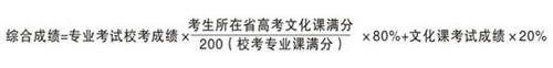 合肥学院2014年美术专业招生简章