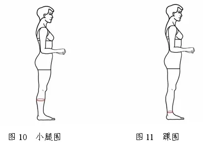 2026年天津市普通高等学校艺术类专业统一考试表（导）演类考试说明