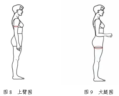 2026年浙江省普通高校招生表（导）演类服装表演方向专业统一考试报考简章