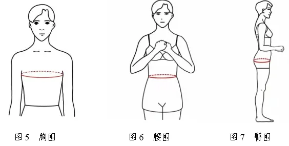 2026年浙江省普通高校招生表（导）演类服装表演方向专业统一考试报考简章