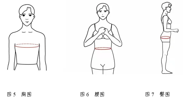 2026年天津市普通高等学校艺术类专业统一考试表（导）演类考试说明