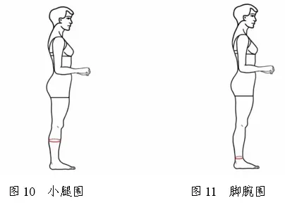 2026年青海省普通高校招生表(导)演类专业省级统考考试要求